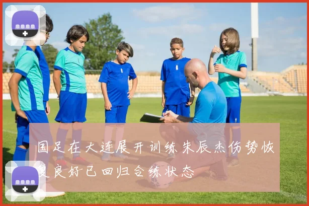 国足在大连展开训练朱辰杰伤势恢复良好已回归合练状态